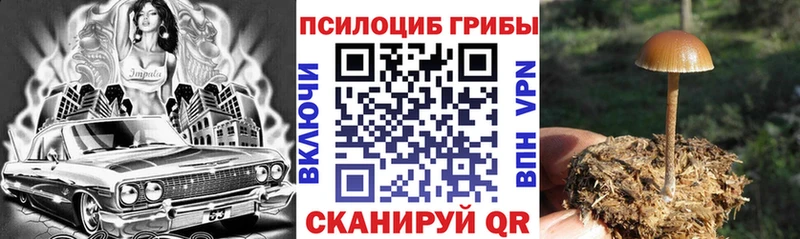 Псилоцибиновые грибы Psilocybine cubensis Электросталь